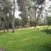 Jardín Botánico IB-UNAM - 1 thumb