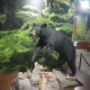 Museo de Historia Natural Ecatepec - 1 thumb
