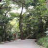 Parque Estatal Urbano Barranca de Chapultepec - 3 thumb